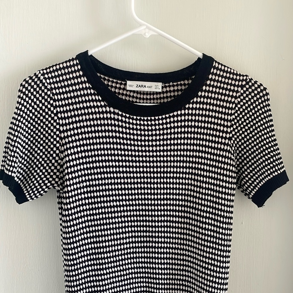 Zara Knit top